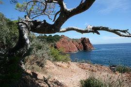 photo of Massif de l'Esterel
