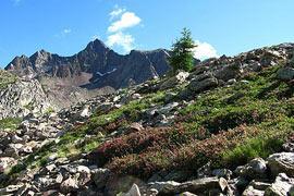 photo of Mercantour National Park