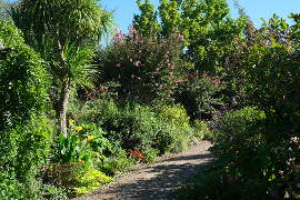 photo of La Promenade Fleurie near Mimizan