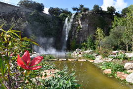 photo of The Jardin Extraordinaire of Nantes