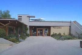 photo of Naturoptère