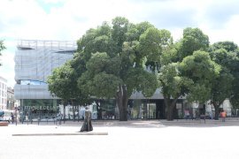 photo of Museum Romanite in Nimes