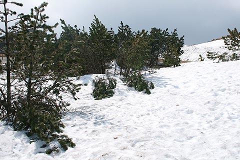 Winter on Puy-de-Dome