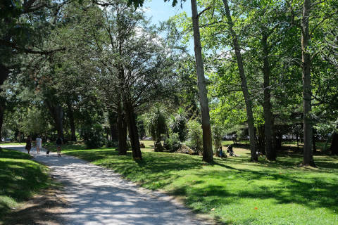 Woodland in the Parc Mauresque