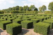 Parterre Cubes