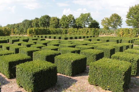 Parterre in Le Bouquet garden