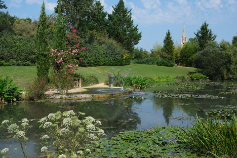 Latour Marliac waterlily nursery and garden