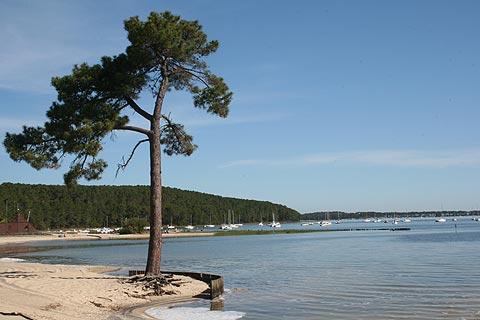 port on Hourtin Lake