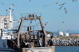 photo of Port-la-Nouvelle