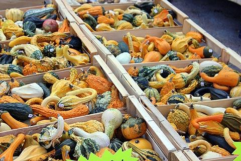 Photo of French markets