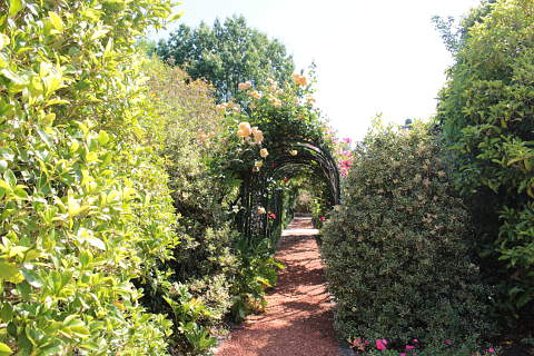 Rose arch in the Jardins de Beauchamp