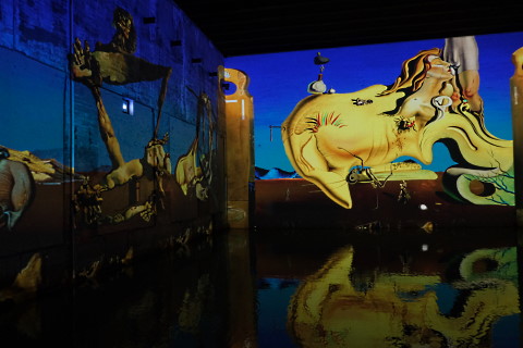 Salvador Dali at the Bassin des Lumieres