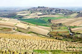 Sancerre