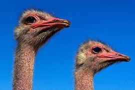 photo of Sigean Nature Reserve