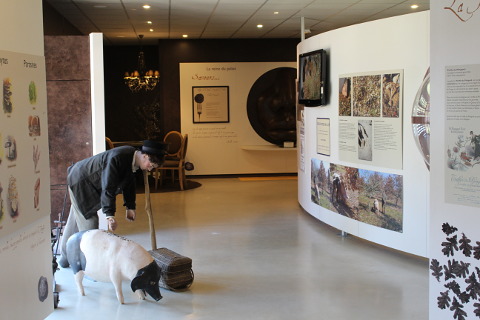 Truffle museum at Sorges