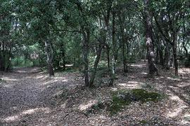 photo of Valmasque Parc